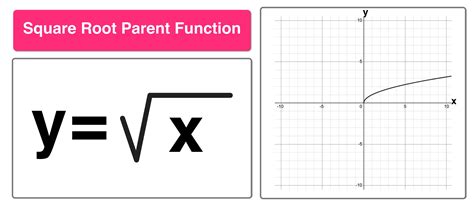 Parent Functions and Parent Graphs Explained — Mashup Math