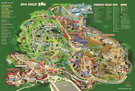 San Diego Zoo Map Printable - Printable Word Searches