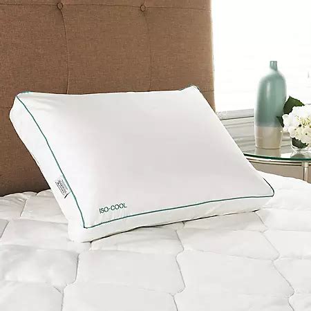 Iso-Cool Visco Elastic Memory Foam Side Sleeper Pillow with Outlast ...