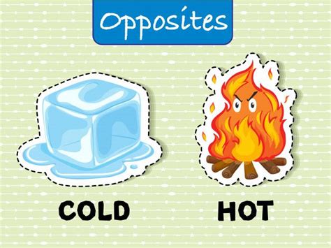 Palabras opuestas para frio y caliente V... | Premium Vector #Freepik # ...