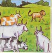 cartoon story for reading . The Lion and the Cows - cartoon story for kids-english .story ...