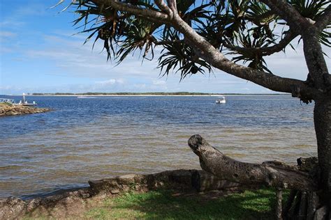 SEQ Camping Stars: Big4 Hibiscus Holiday Park, Caloundra