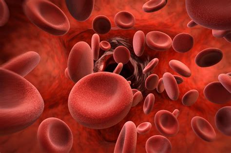 Hemophilia: Causes, types, symptoms, and treatment