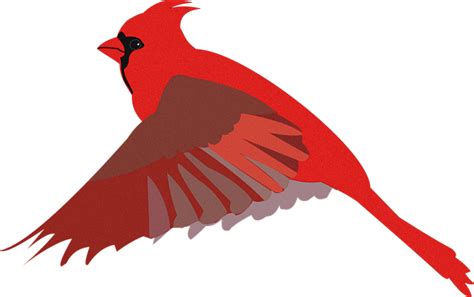 Cardinal Flying Clipart