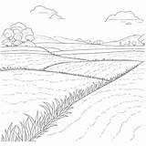 Paddy Field Coloring Page Line Drawing Cartoon Clipart Image Outline  sketch template
