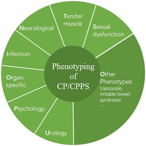 Chronic Prostatitis/Chronic Pelvic Pain Syndrome: A Disease or Symptom ...