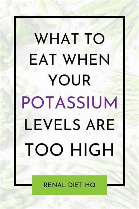 A Low Potassium Menu For When Levels Are High - Renal Diet HQ | Renal ...