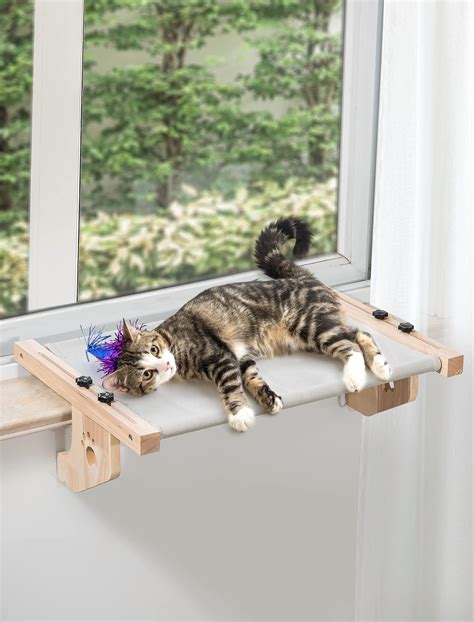 Amazon.com : SAINT NIEVE Cat Window Perch - Sturdy & Adjustable Cat Bed ...