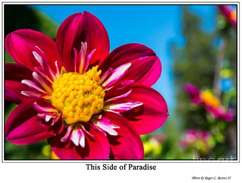 This Side of Paradise Photograph by Tikvah's Hope - Fine Art America