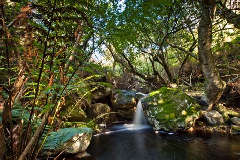 Kogelberg’s new eco-cabins unveiled