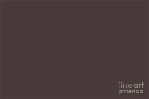 Enriched Earth Deep Dark Brown Purple Solid Color Pairs To Sherwin Williams Bitter Chocolate SW ...