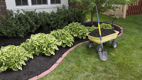 Using Topsoil for Gardening and Landscaping - Serbu Sand & Gravel