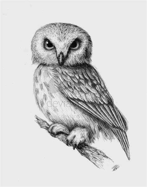 105 best owl tattoos images on Pinterest