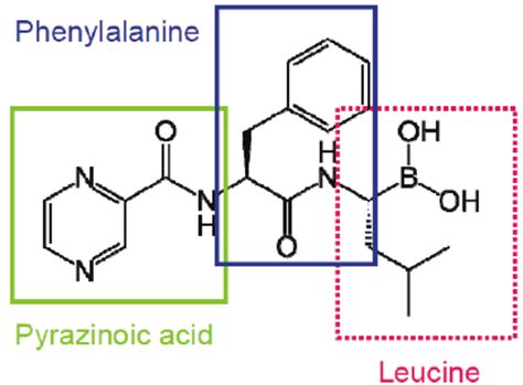 The chemical structure of Bortezomib. Bortezomib is a tripeptide made ...