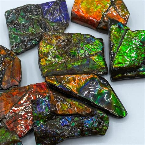 Rainbow Fossil Ammolite Gem Quality Ammonite Collectible Fossil ...