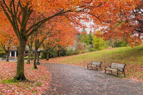 Walking And Biking Park Trails In Fall Royalty Free Stock Photography - Image: 34174337