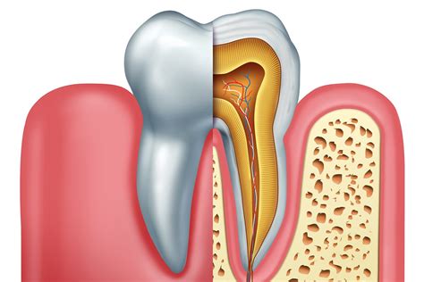 Difference Between Endodontist & Dentist | Eagle Endodontics