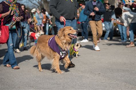 dog-parade-14 - The ABGB