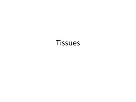 PPT - Tissues PowerPoint Presentation, free download - ID:296512