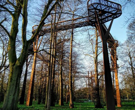 Treetop Walkway | Kew | Walking in nature, Kew gardens, Walkway