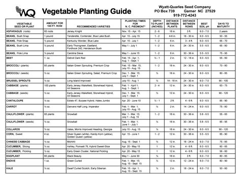 Fertilizing Vegetable Garden ~ Best Wallpaper Rosella Watts