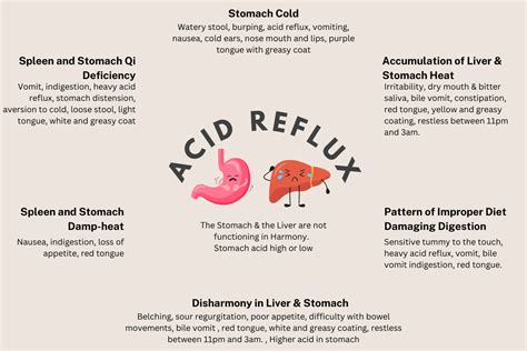 Acid Reflux In Dogs From a Chinese Medicine Perspective