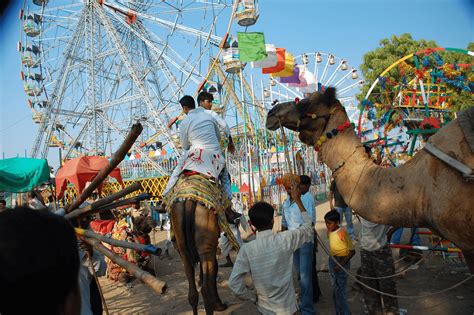 Of colours, crowds and camels