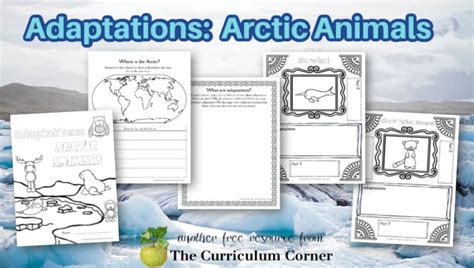 Adaptations: Arctic Animals - The Curriculum Corner 4-5-6