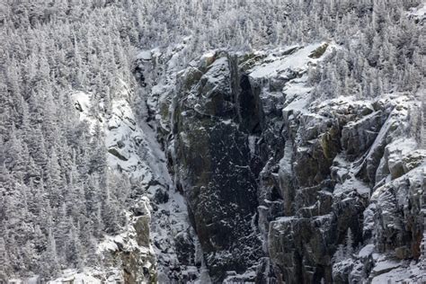 Winter Forest Cliff • Free Nature Stock Photo