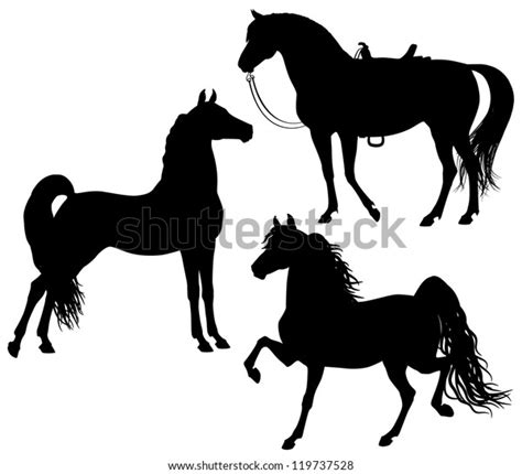 Morgan Horses Silhouettes Isolated White Background Stock Vector ...