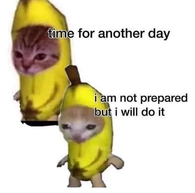 Banana Cat Blank Template - Imgflip