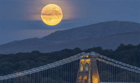 Harvest moon 2017: When, where and how to watch the October full moon TONIGHT | Science | News ...