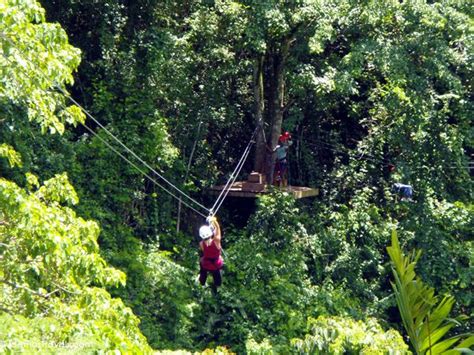 Zip Line Adventure in Antigua - Luxe Adventure Traveler | Antigua, Ziplining, Ecotourism