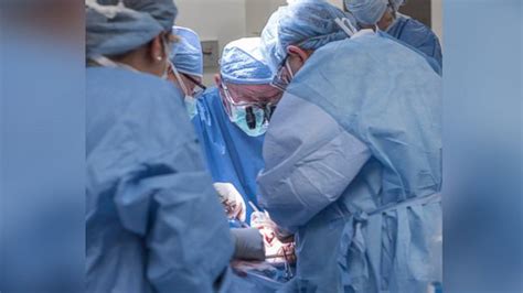 First Uterus Transplant Performed in U.S. - ABC News