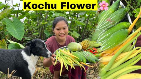 Collecting Kochu Flowers at garden | Cook and Eat in Village ...