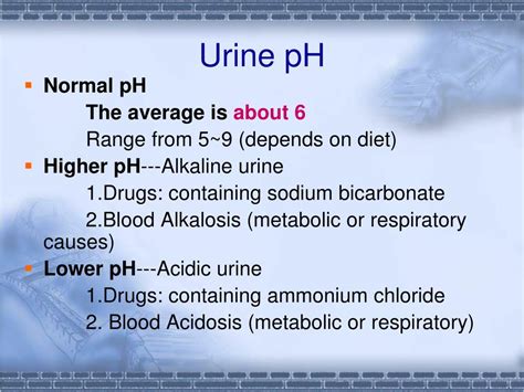 PPT - Urinalysis PowerPoint Presentation, free download - ID:5498707