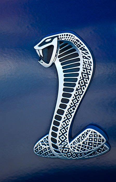 Cobra Emblem by Jill Reger | Car wall art, Car emblem, Emblems