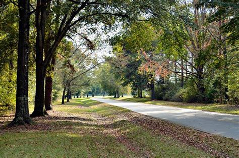 Prairie Creek Campground - Alabama Birding Trails