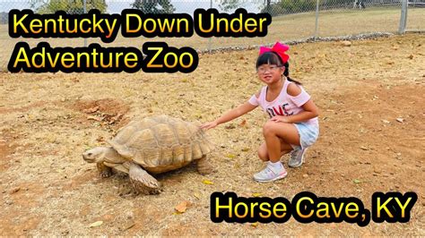 [JWYao TV] Kentucky Down Under Adventure Zoo @ Horse Cave, KY. # ...