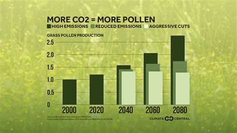 Pollen & Allergy Season | Climate Central