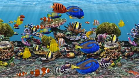 Free Fish Tank Wallpaper Screensavers - WallpaperSafari