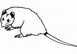 Opossum Outline Coloring Page  Free Printable Pages For Kids sketch template