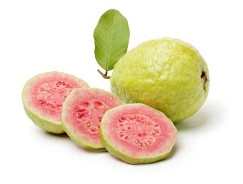 Pink guava fruit stock image. Image of healthy, fresh - 110984779