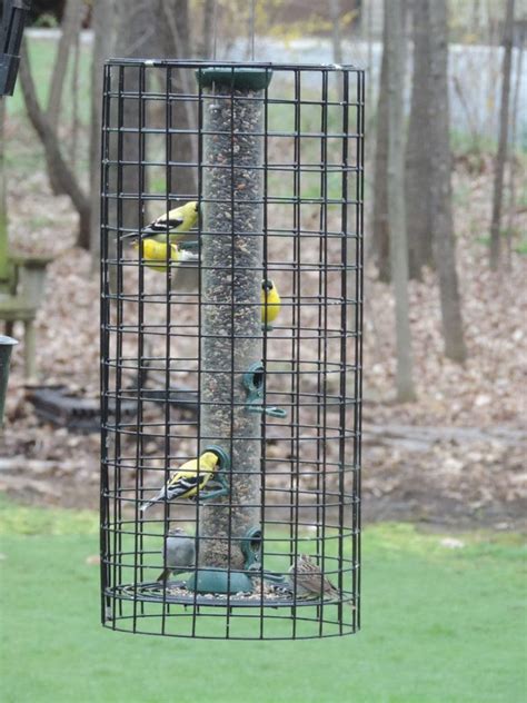 Build Your Own Starling/Grackle Proof Feeder - Flying Friends