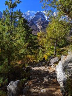 Heaven on Earth : Gangotri National Park- Erakina