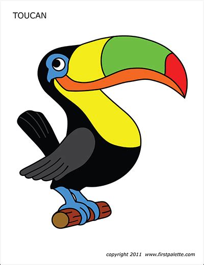 Toucan | Free Printable Templates & Coloring Pages | FirstPalette.com