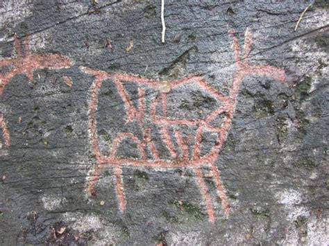 Balsfjord rock carvings | Arte rupestre, Arte, Prehistoria