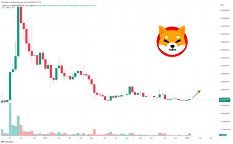 Shiba Inu Price Prediction - How Momentum Investors Can Propel This ...