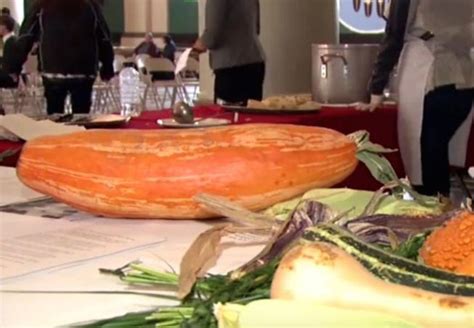 Native Americans Revived Squash From 800-Year-Old Seeds | Ancient Origins