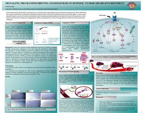 SIGNALING MECHANISM DRIVING ANGIOGENESIS IN HYPOXIC TUMOR MICRO-ENVIRONMENT